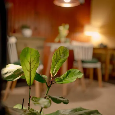 Zarliwe Klimaty - Gosciniec Hotel