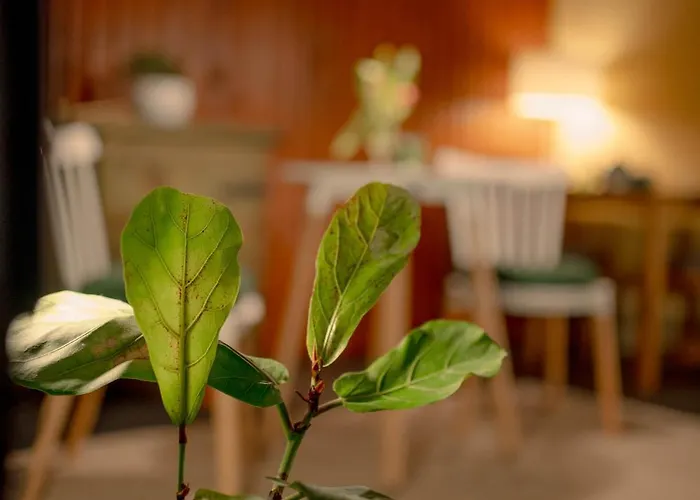 żarliwe Klimaty - Hotel